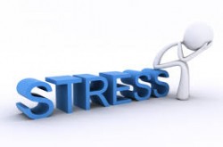 stress stress