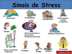 Sinais de stress Sinais de stress