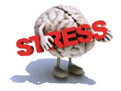 human brain that embraces word stress human brain that embraces word stress